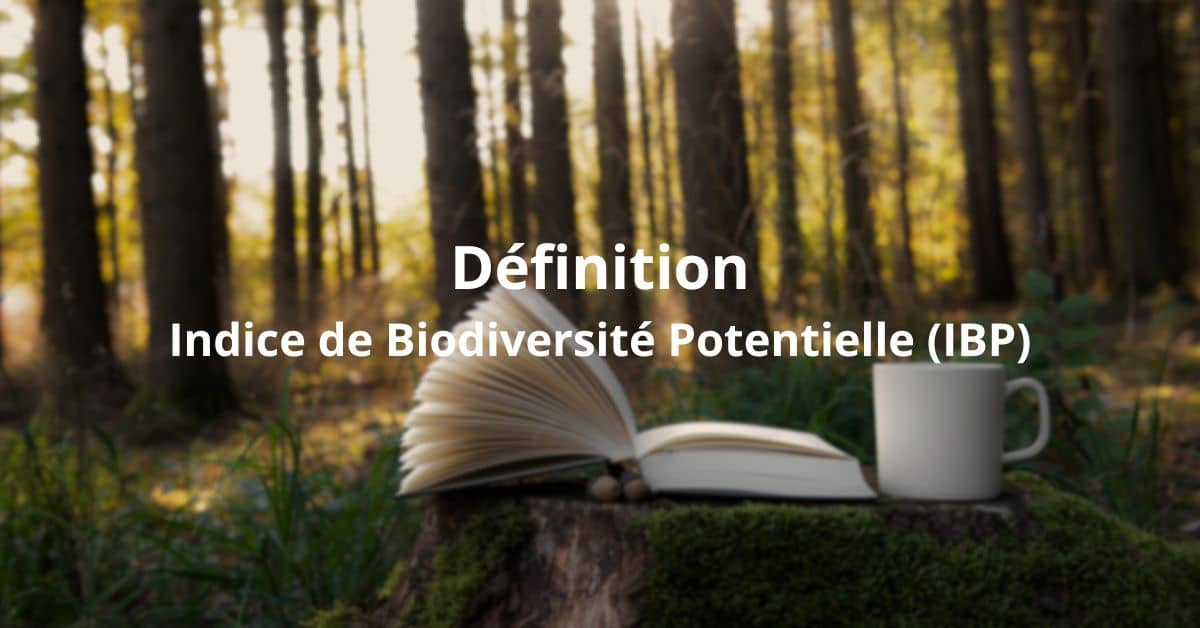 définition IBP (Indice de Biodiversité Potentielle) 