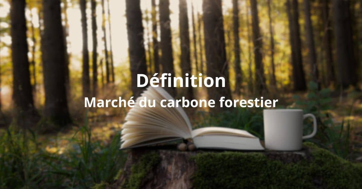 definition marché carbone forestier