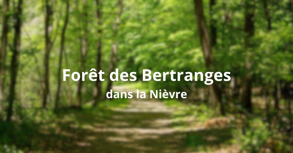 foret des bertranges
